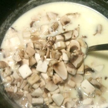 Sauce béchamel aux champignons