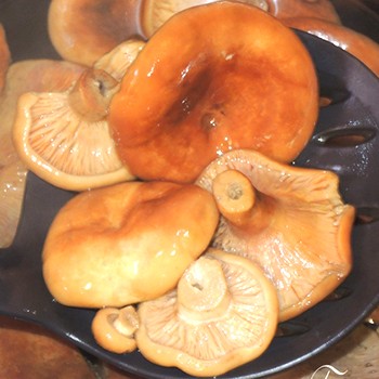 Crêpes au safran poêlées: recettes simples