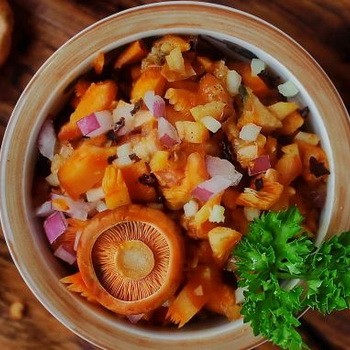 Champignons champignons