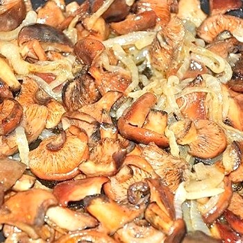 Comment faire frire les champignons: recettes de plats délicieux