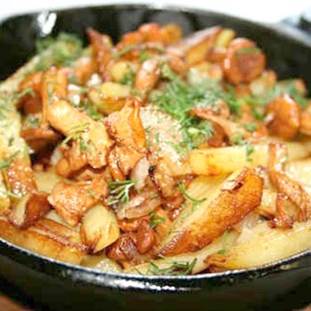 Plats de champignons aux pommes de terre: recettes de la cuisine russe