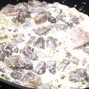 Champignons au miel cuits à la crème sure