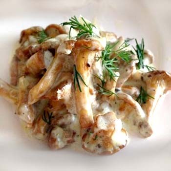 Plats de girolles à la sauce crémeuse
