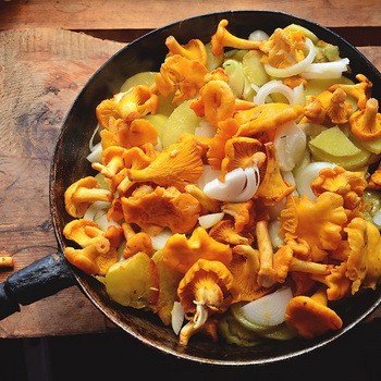 Pomme de terre aux girolles: recettes de champignons