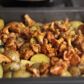 Comment faire cuire les girolles au four: recettes simples
