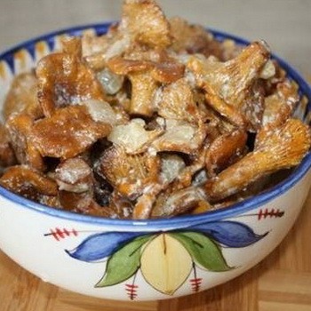 Méthodes de cuisson des girolles dans une mijoteuse