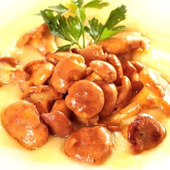 Les meilleurs plats de girolles: recettes maison