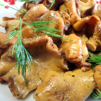 Comment cuisiner les chanterelles: recettes maison