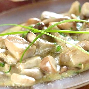 Cèpes cuites dans une sauce crémeuse