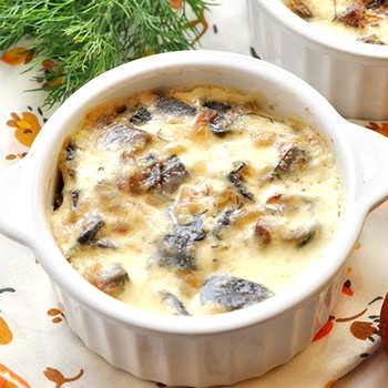 Recettes de champignons à la crème