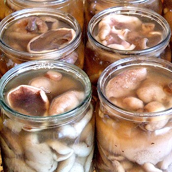 Recettes pour l'aviron bondé: mariner, mariner et frire