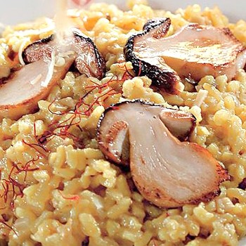 Recettes de risotto aux cèpes frais, séchés et surgelés