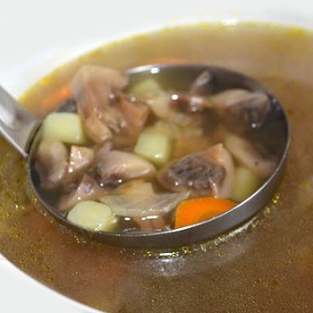 Géorgienne biélorusse de champignons frais et secs