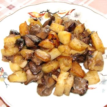 Plats de bolets avec pommes de terre