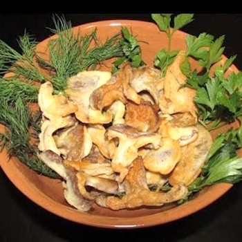 Comment faire cuire des pièges: recettes de champignons