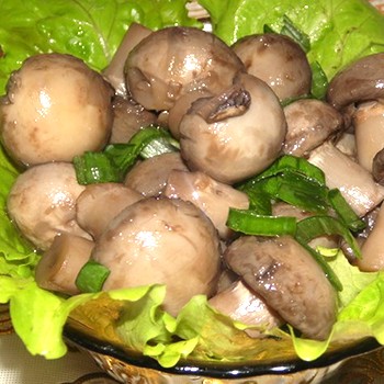 Champignons bouillis: recettes de plats aux champignons