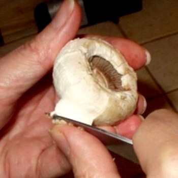 Comment nettoyer les champignons avant la cuisson