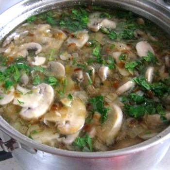Plats Champignon cuits dans un multicuiseur