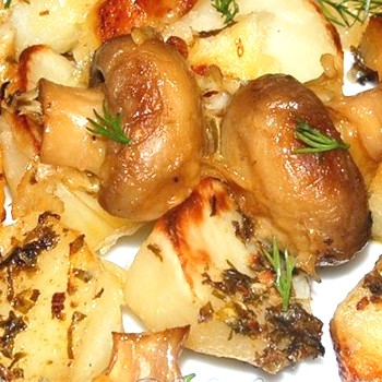 Champignons diététiques: recettes pour les premier et deuxième plats