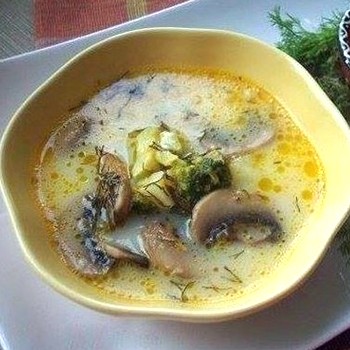 Potages au fromage et aux champignons: recettes de premier choix