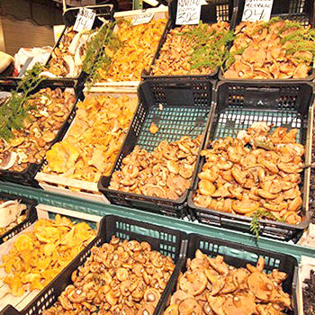 Comment vendre des champignons: conseils pour vendre