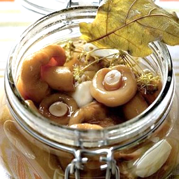 Marinage aux champignons: recettes de recettes d'hiver